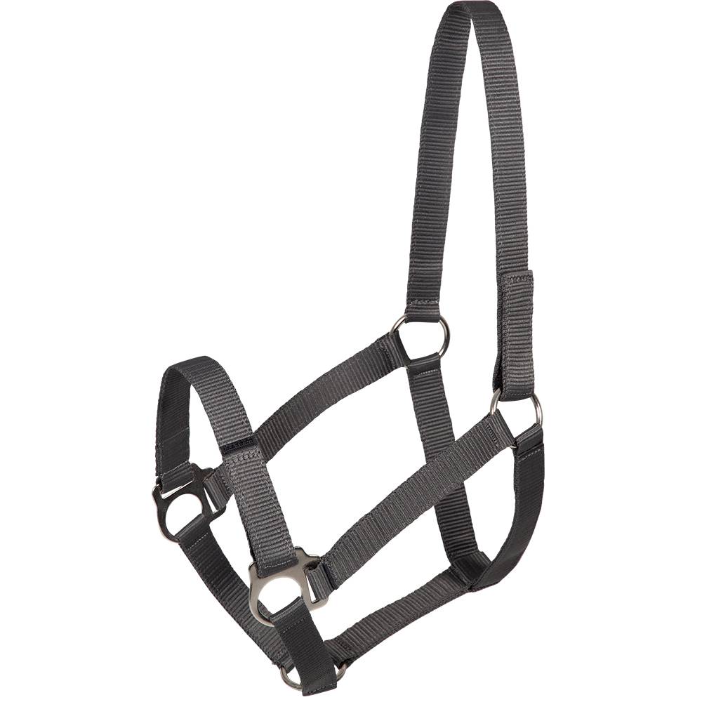 PFIFF 102921 Sicherheits- und Weidehalfter "Jocose" im Angebot