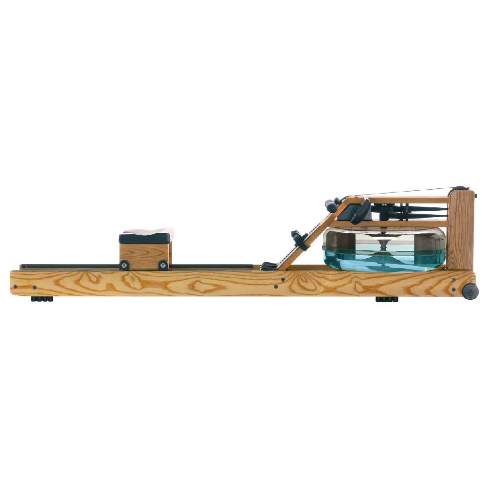 Sport Tec WaterRower Rudergerät Esche, inkl. S4 Monitor, Herzfrequenzempfänger und Brustgurt POLAR T31, Set 3-tlg Clearance-Verkauf