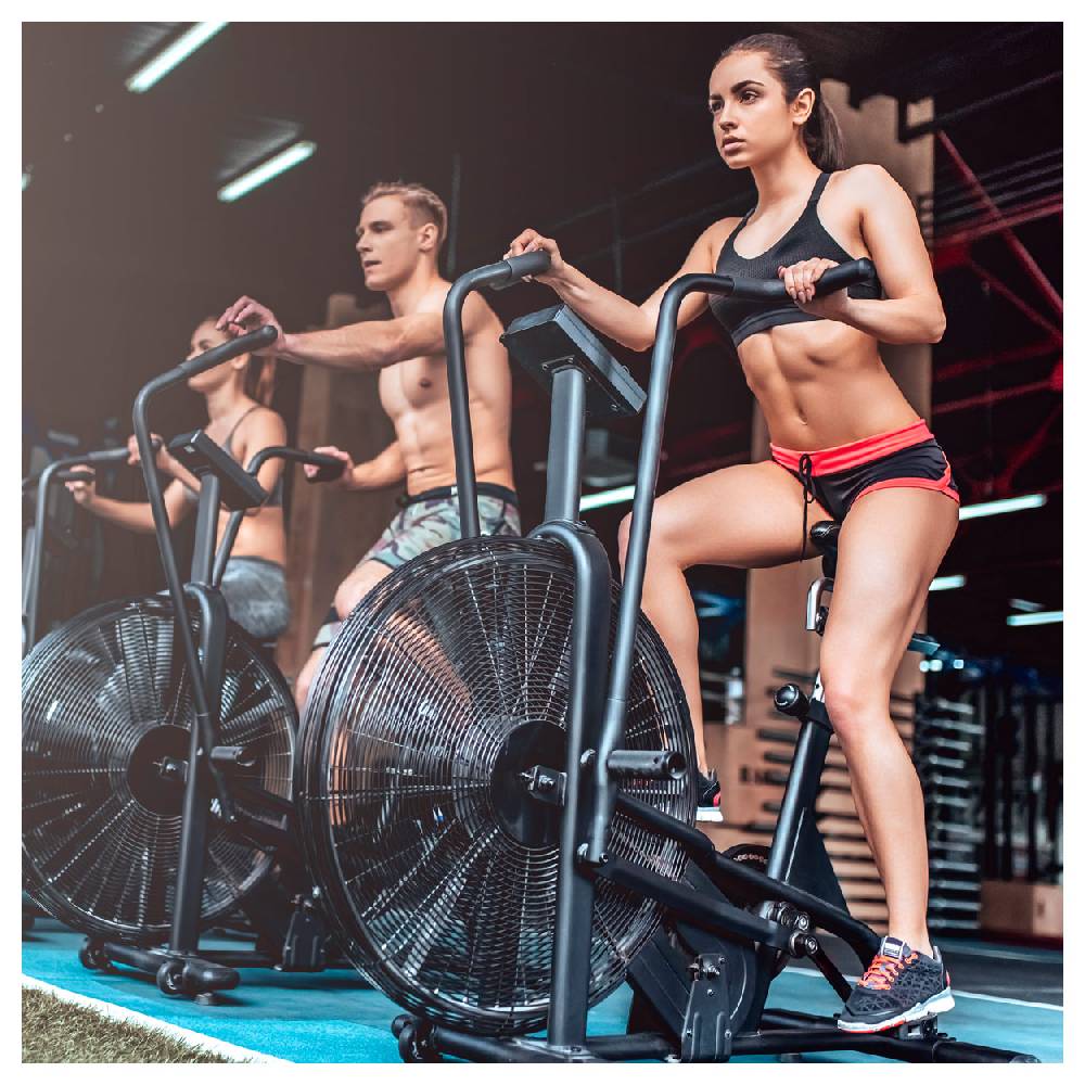 Sport Tec ASSAULT FITNESS AirBike Classic Limitierter Zeitrabatt