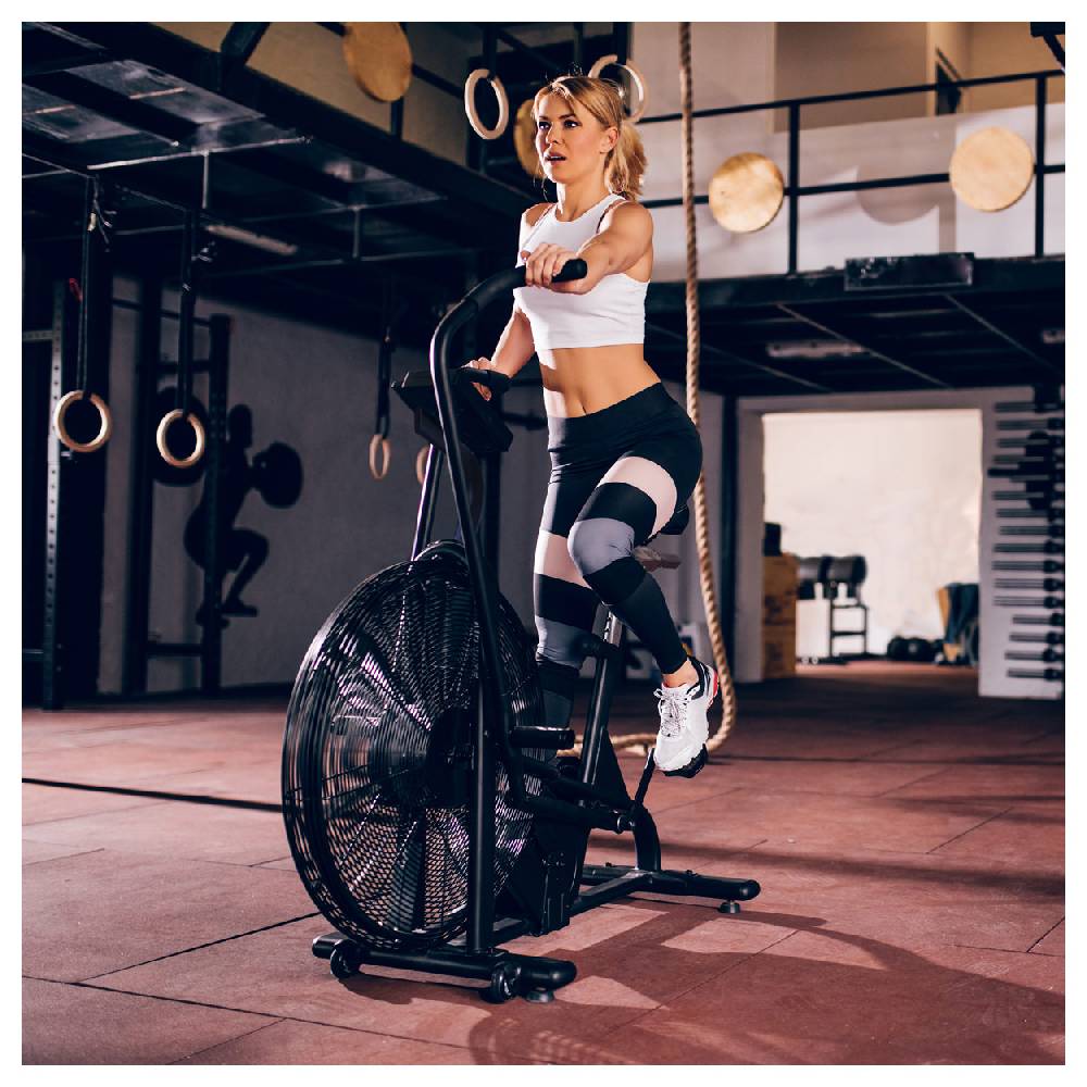 Sport Tec ASSAULT FITNESS AirBike Pro Fabrik Onlineshop