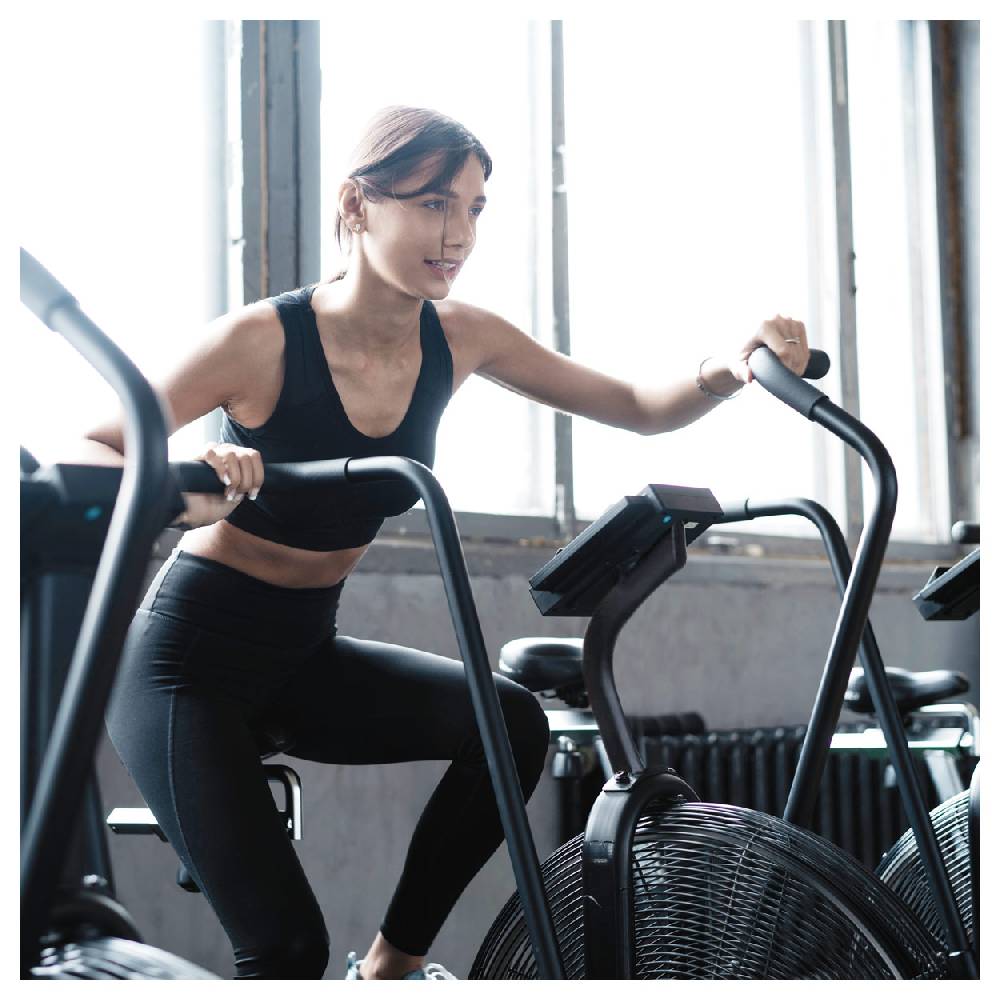 Sport Tec ASSAULT FITNESS AirBike Pro Fabrik Onlineshop