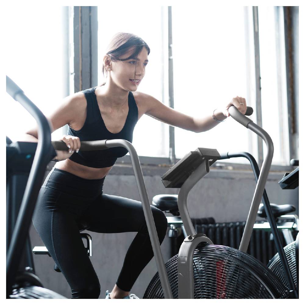 Sport Tec ASSAULT FITNESS AirBike Elite Sonderangebot