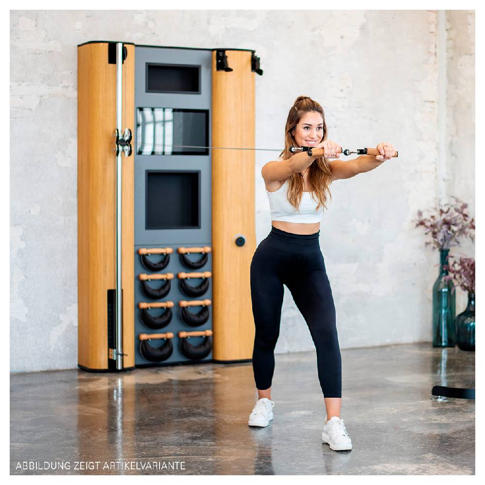 Sport Tec NOHrD Wall Compact, Seilzug, Skitrainer, 8 Swing Hanteln, Club-Sport Auslauf