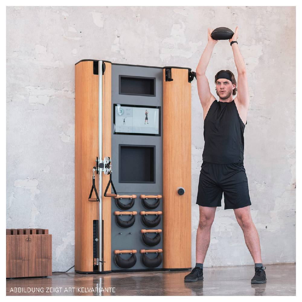 Sport Tec NOHrD Wall Compact, Seilzug, Skitrainer, 8 Swing Hanteln, Club-Sport Auslauf