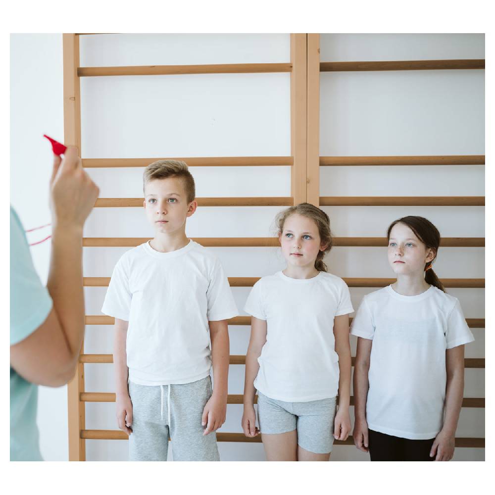 Sport Tec Sprossenwand Standard, BxH 100x230 cm, 10 Sprossen, inkl. Übungsposter Günstig kaufen
