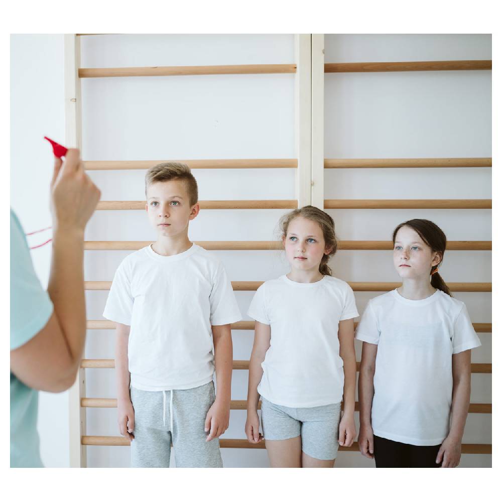 Sport Tec Sprossenwand nach DIN, BxH 200x260 cm, 2 Felder, je 16 Sprossen Online Shopping