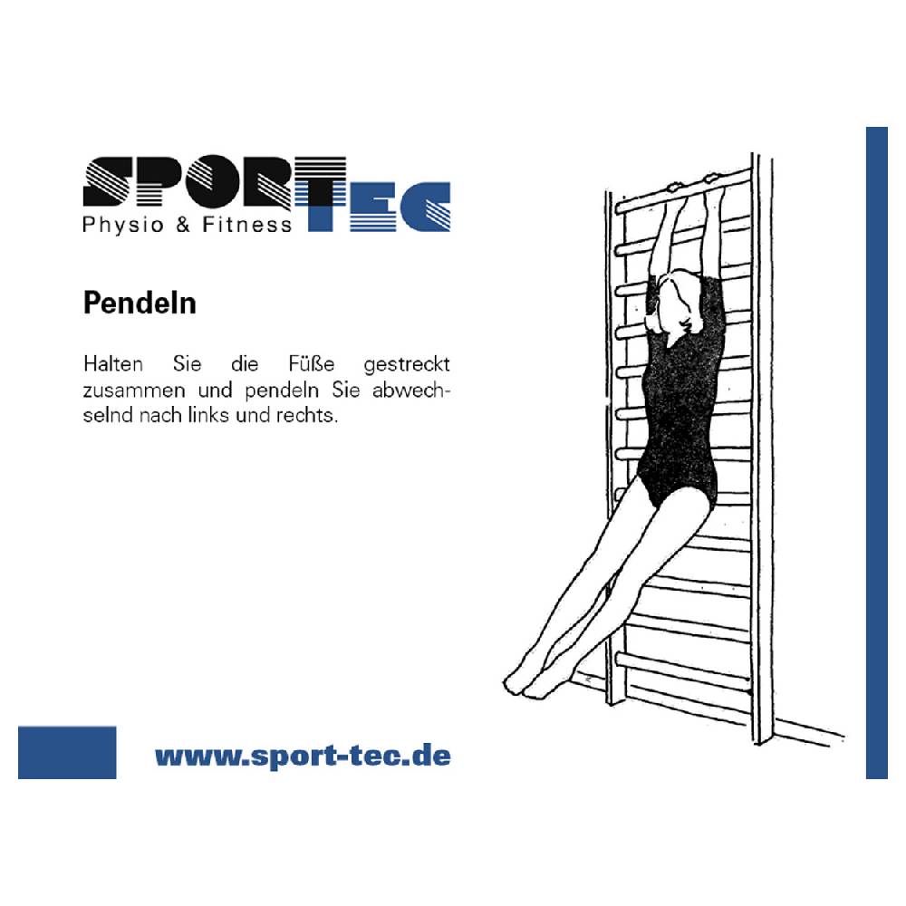 Sport Tec Sprossenwand nach DIN, BxH 200x260 cm, 2 Felder, je 16 Sprossen Online Shopping