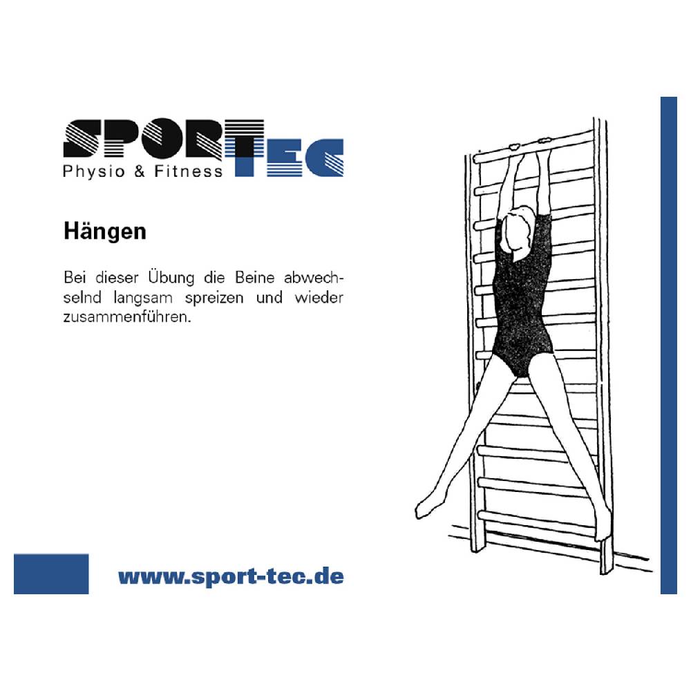 Sport Tec Sprossenwand, BxH 80x230 cm, 14 Sprossen Preisnachlass