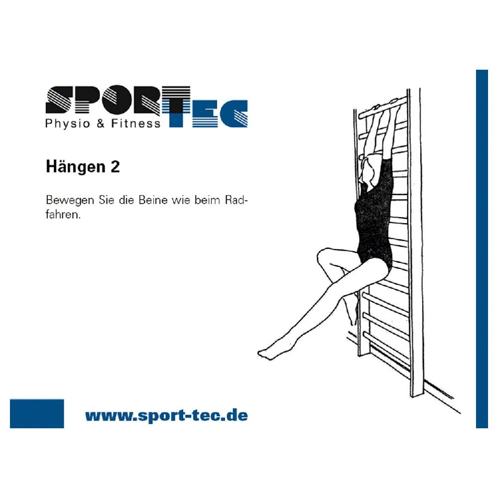 Sport Tec Sprossenwand Kombination-Set, komplett, 3-tlg Valentinstagsangebot