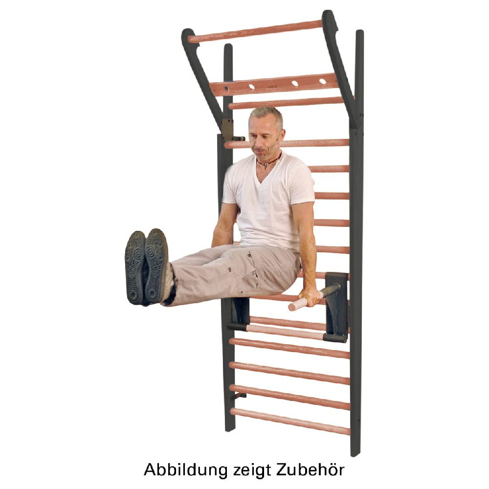 Sport Tec NOHrD Multi-Adapter Club-Sport Klimmzugbügel und Dipstation für Sprossenwand Heißer Verkauf