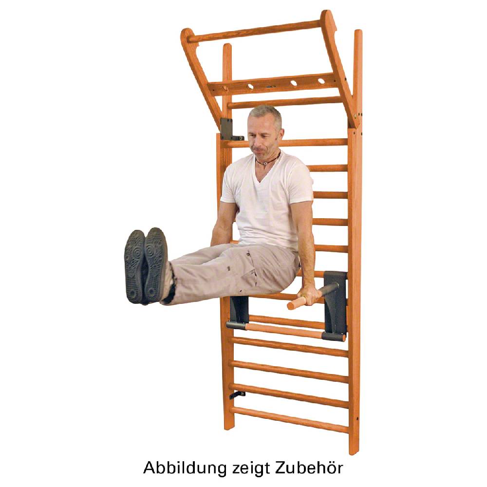 Sport Tec NOHrD Multi-Adapter Kirsche Klimmzugbügel und Dipstation für Sprossenwand Neueste Mode