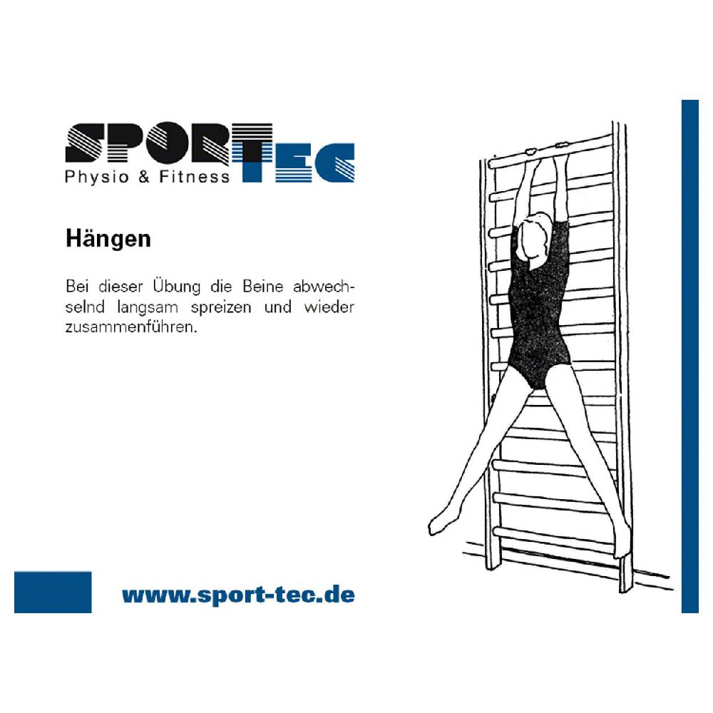 Sport Tec Sprossenwand Kombination-Set, komplett, 3-tlg Exklusivangebot