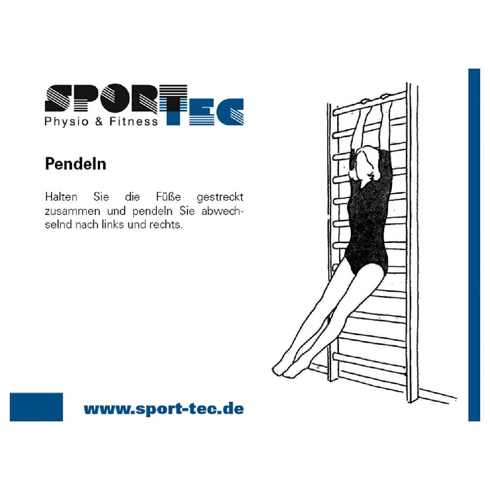 Sport Tec Sprossenwand Kombination-Set, komplett, 3-tlg Exklusivangebot