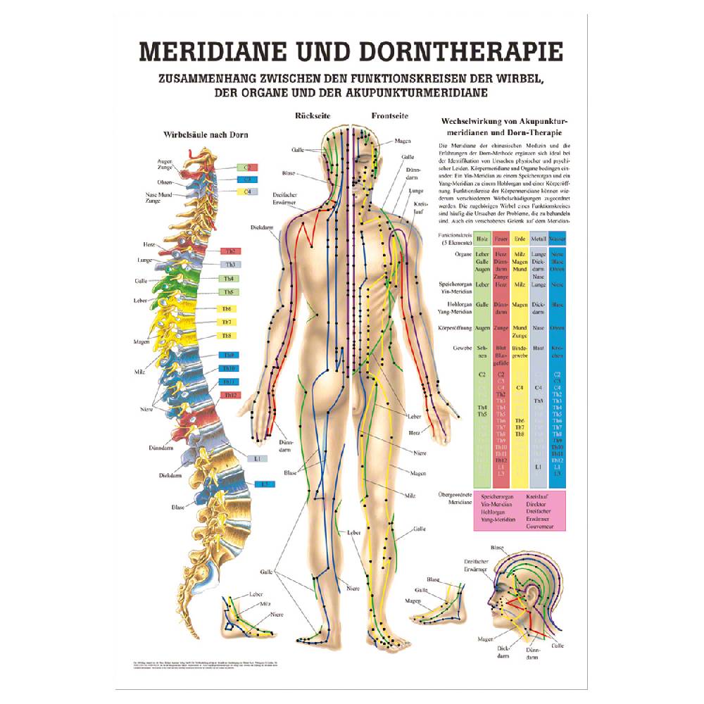Sport Tec Mini-Poster "Meridiane u. Dorn", LxB 34x24 cm Weihnachtsangebot
