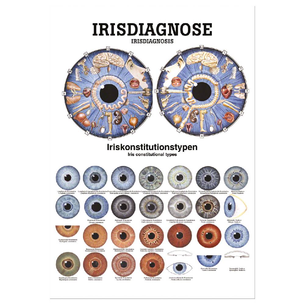 Sport Tec Mini-Poster "Irisdiagnose", LxB 34x24 cm