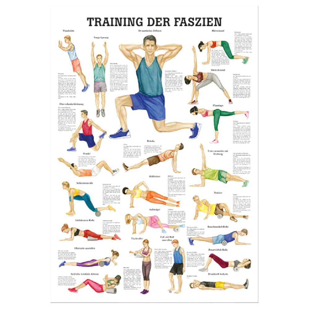 Sport Tec Mini-Poster "Training der Faszien", LxB 34x24 cm
