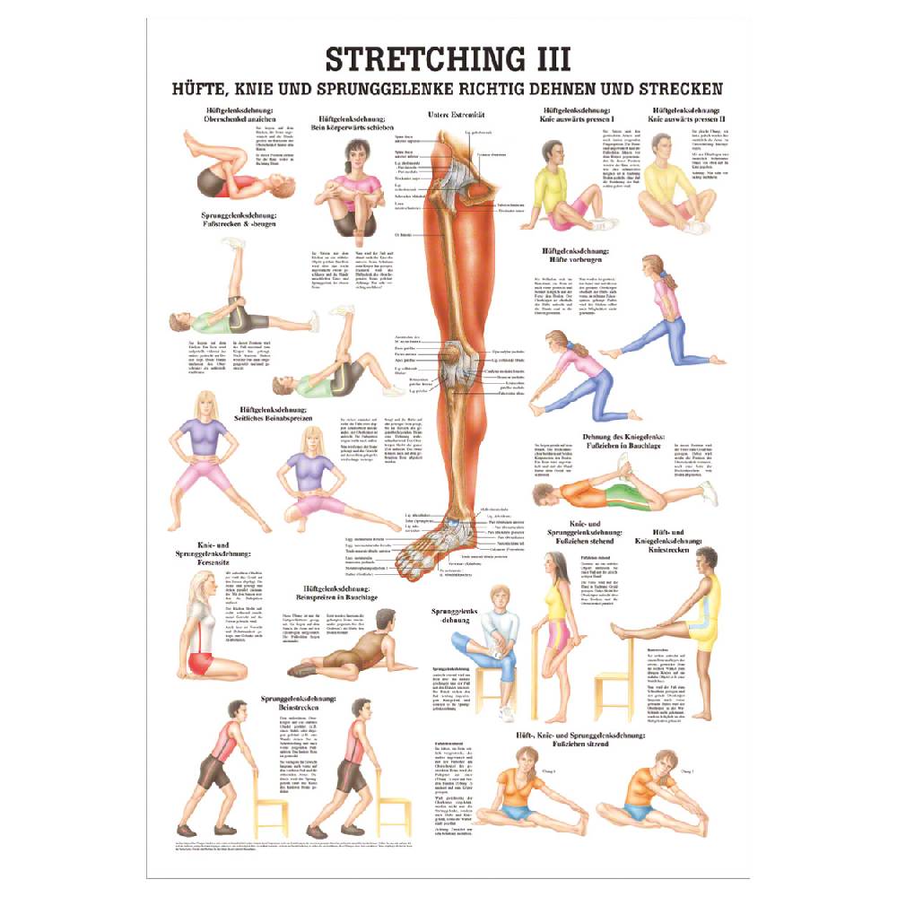 Sport Tec Mini-Poster "Stretching III", LxB 34x24 cm