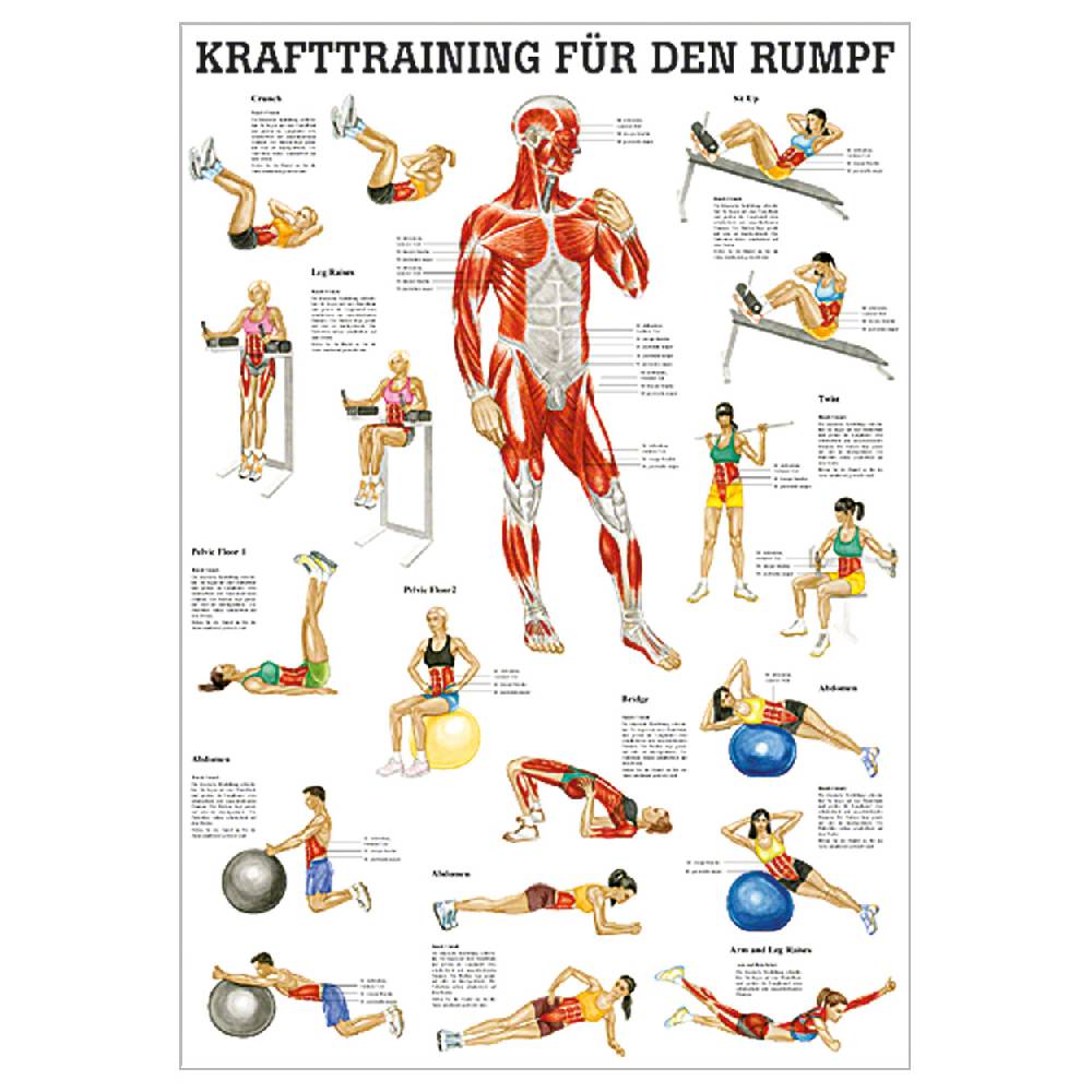 Sport Tec Mini-Poster "Krafttraining Rumpf", LxB 34x24 cm Black Friday Preise