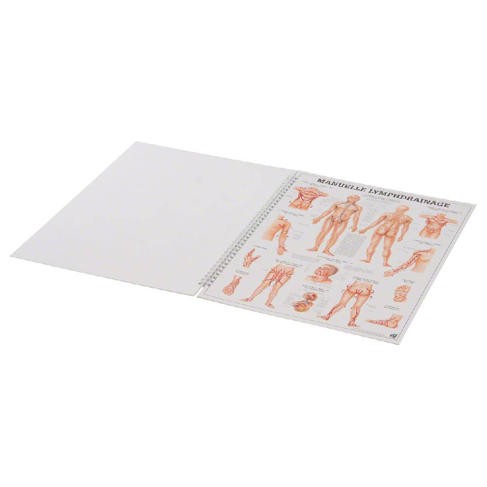 Sport Tec Mini-Poster Booklet "Naturheilkunde des Menschen", LxB 34x24 cm, 12 Poster Outlet