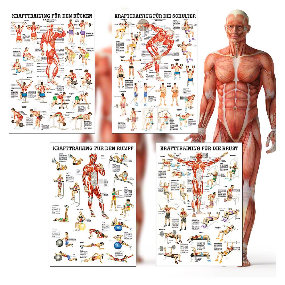 Sport Tec Mini-Poster Booklet "Fitness und Krafttraining", LxB 34x24 cm, 12 Poster Auslauf