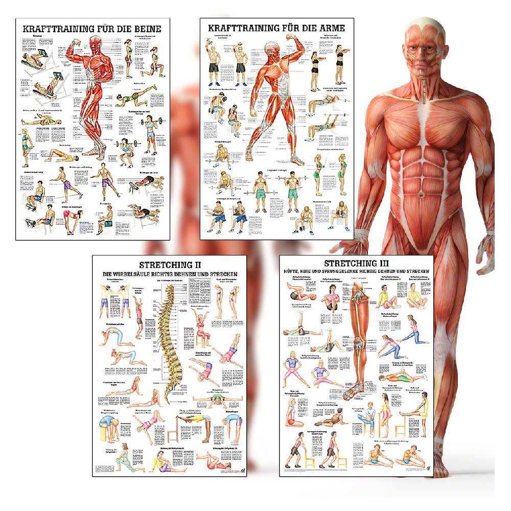 Sport Tec Mini-Poster Booklet "Fitness und Krafttraining", LxB 34x24 cm, 12 Poster Auslauf