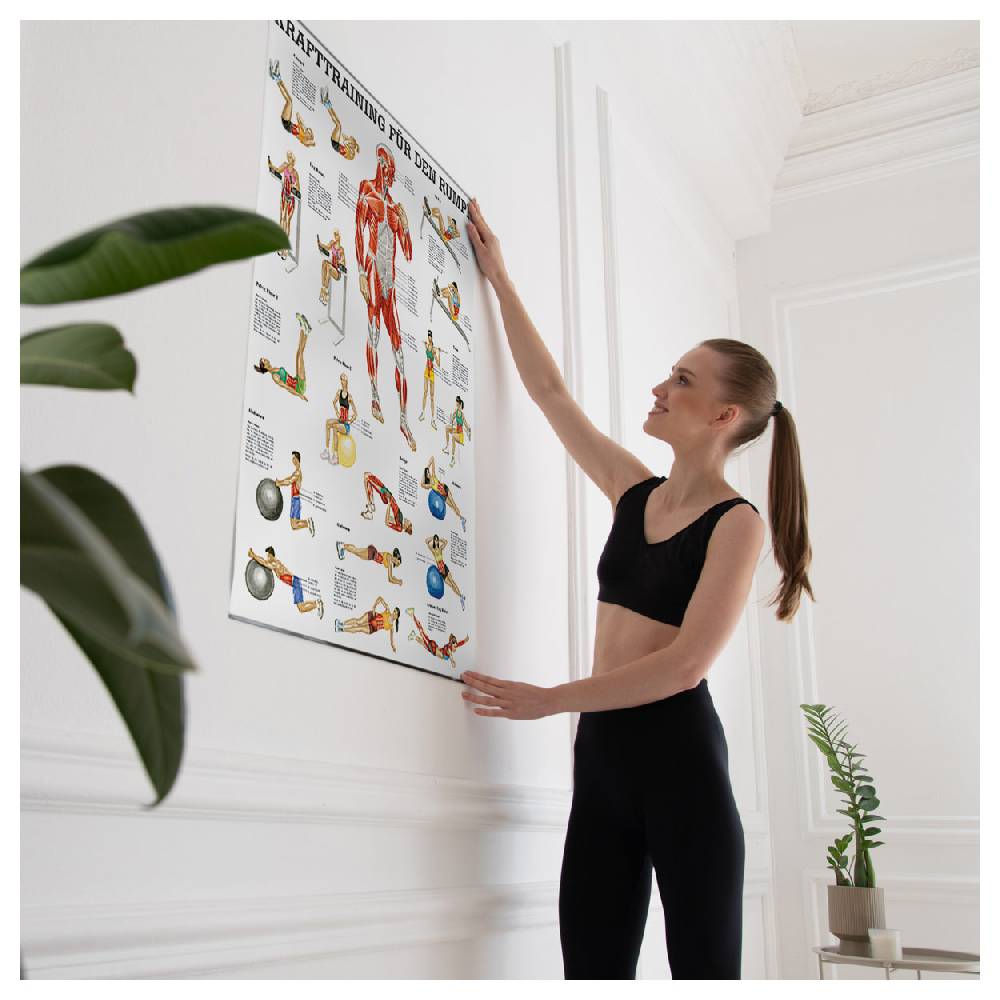 Sport Tec Lehrtafel "Krafttraining Rumpf", LxB 100x70 cm Angebote