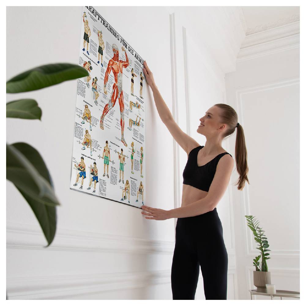 Sport Tec Lehrtafel "Krafttraining Arme", LxB 100x70 cm Hotsell