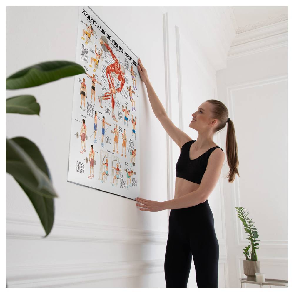 Sport Tec Lehrtafel "Krafttraining Schulter", LxB 100x70 cm Meist gekauft