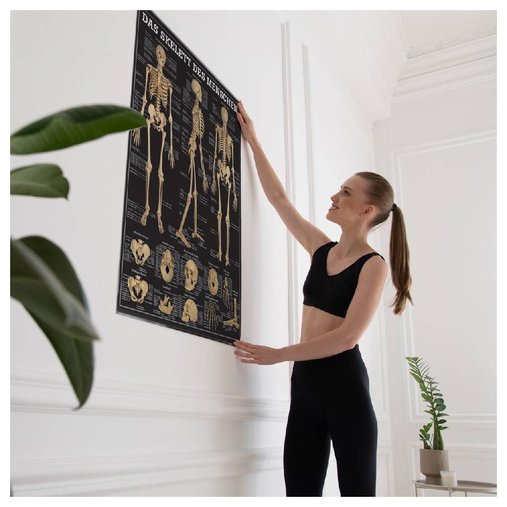 Sport Tec Lehrtafel "Das Skelett des Menschen", LxB 100x70 cm Blitzverkäufe