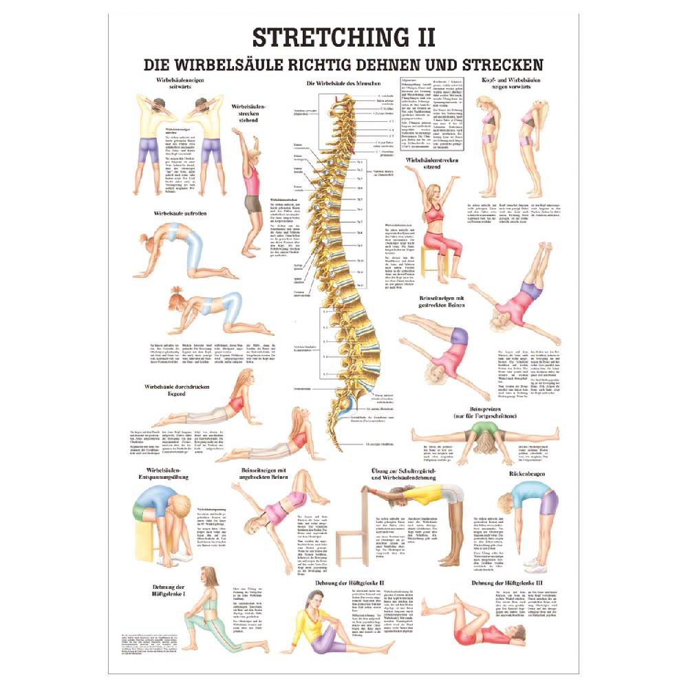 Sport Tec Lehrtafel "Stretching II", LxB 100x70 cm