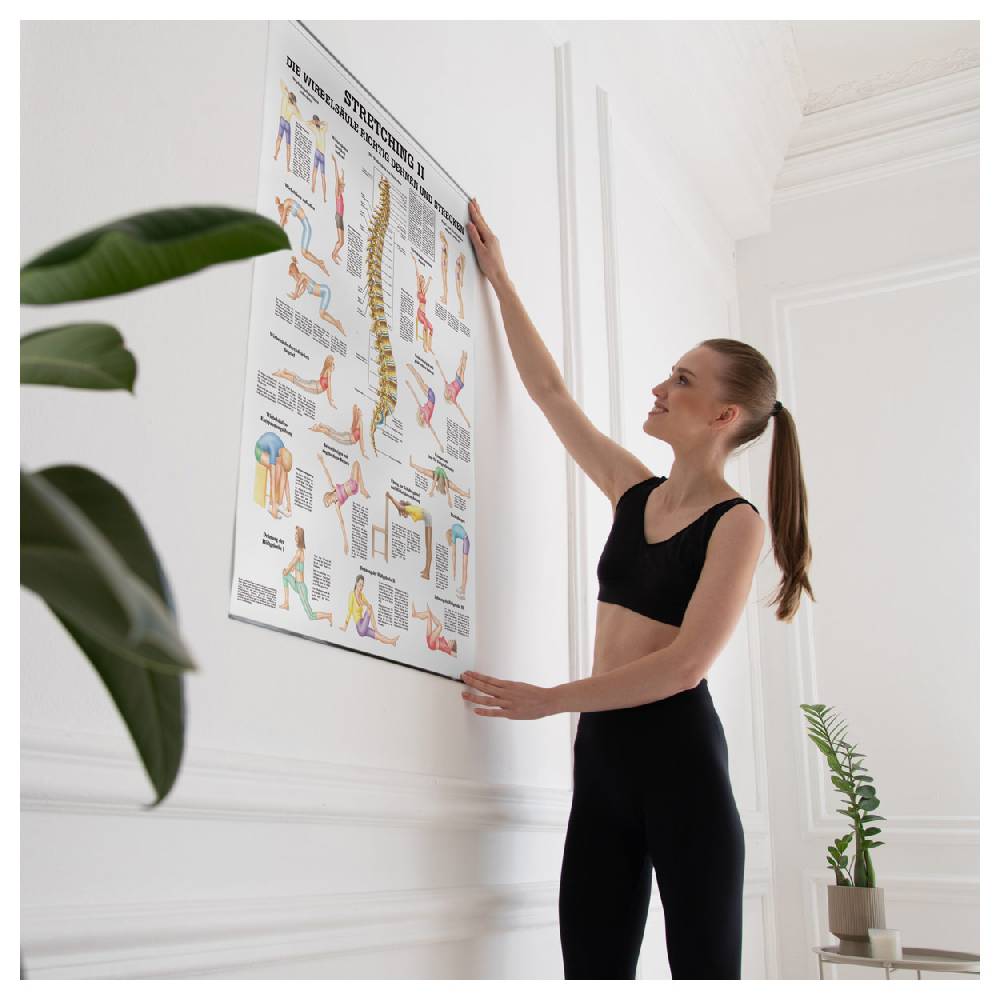 Sport Tec Lehrtafel "Stretching II", LxB 100x70 cm Kostenloser Versand