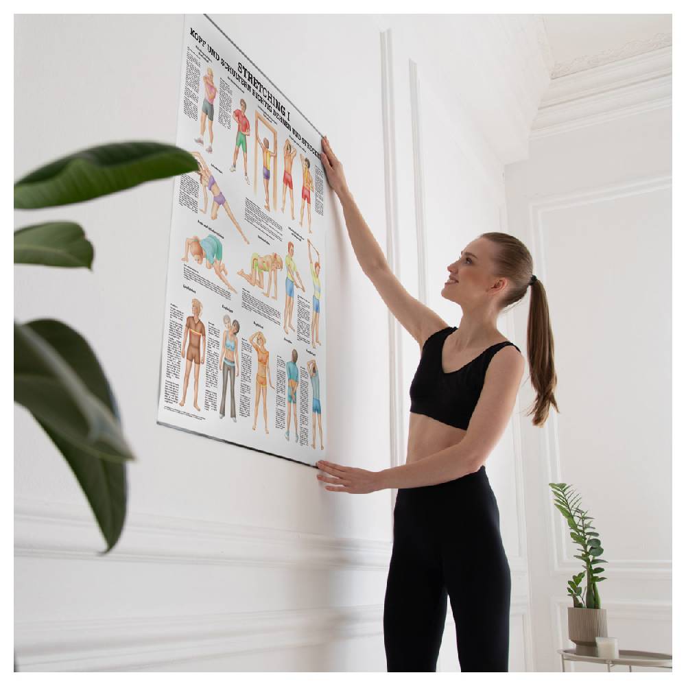 Sport Tec Lehrtafel "Stretching I", LxB 100x70 cm Fabrikpreis