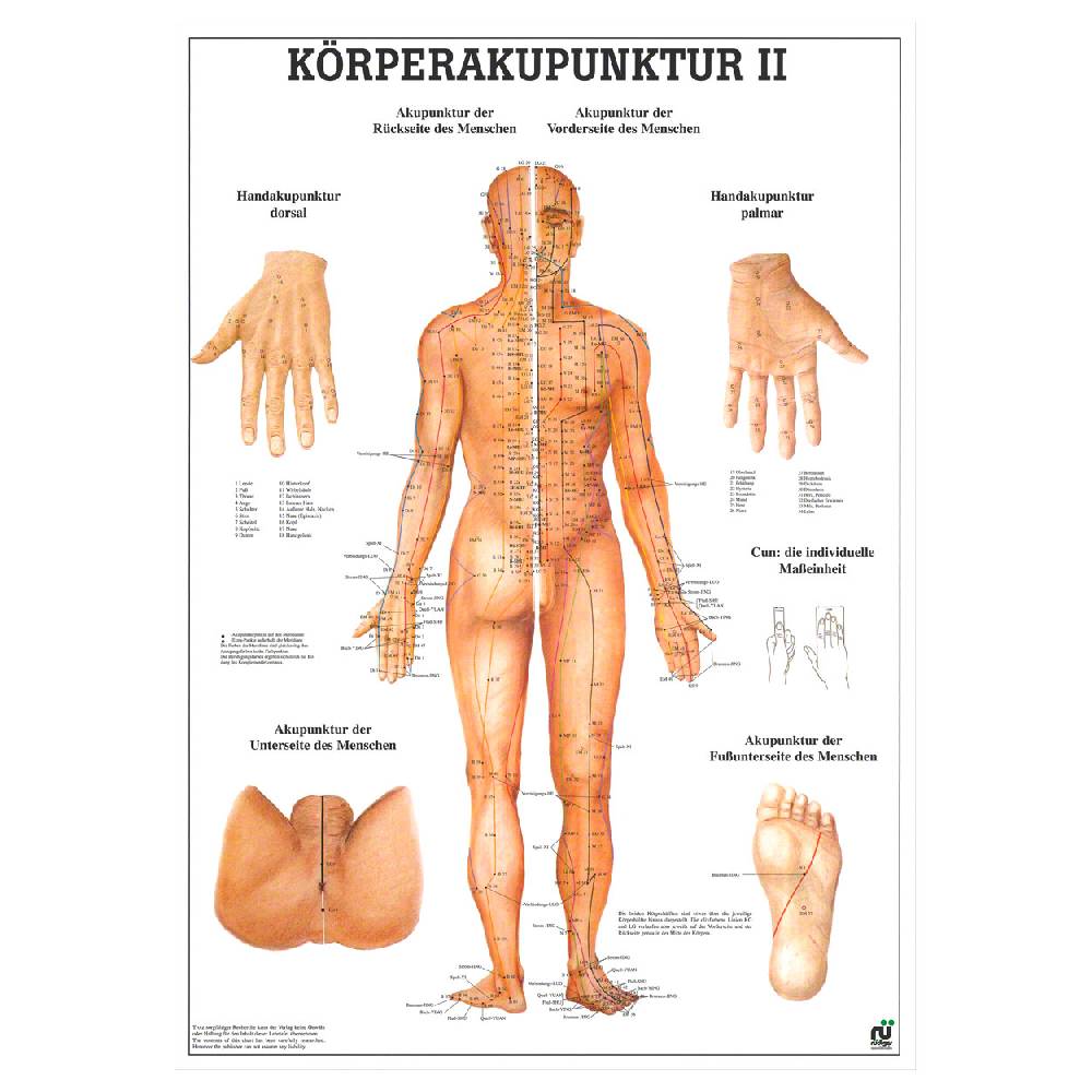 Sport Tec Lehrtafel "Körperakupunktur II", LxB 100x70 cm