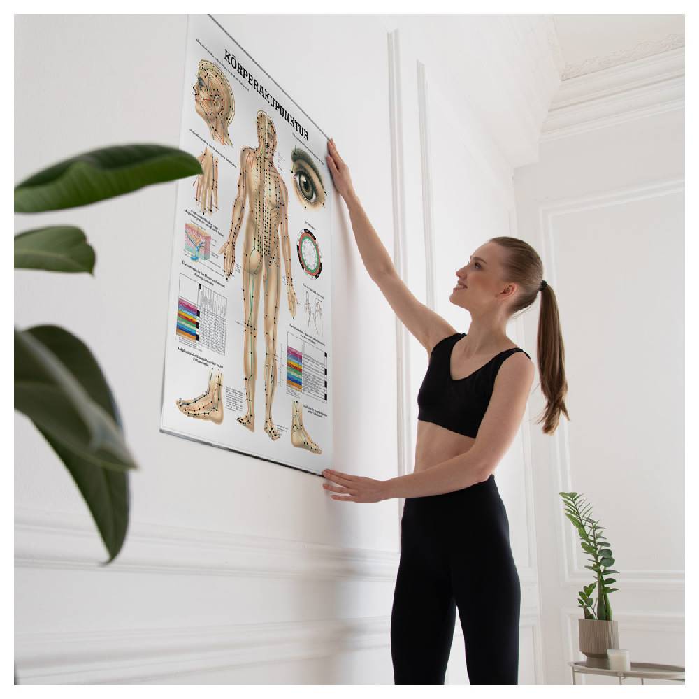Sport Tec Lehrtafel "Körperakupunktur", LxB 100x70 cm Valentinstagsangebot