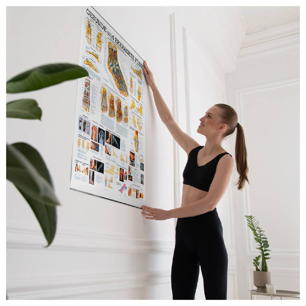 Sport Tec Lehrtafel "Der Fuß", LxB 100x70 cm Wochenangebot