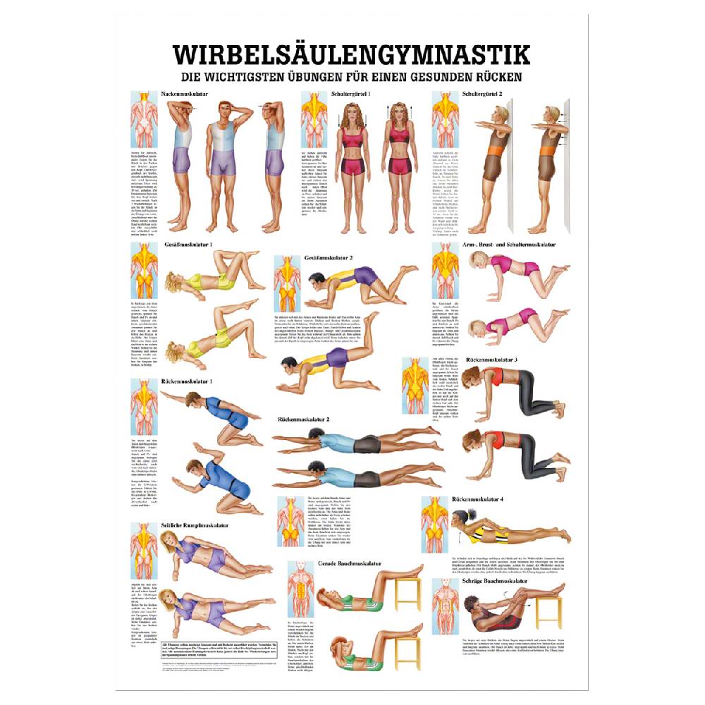 Sport Tec Lehrtafel "Wirbelsäulengymnastik", LxB 100x70 cm