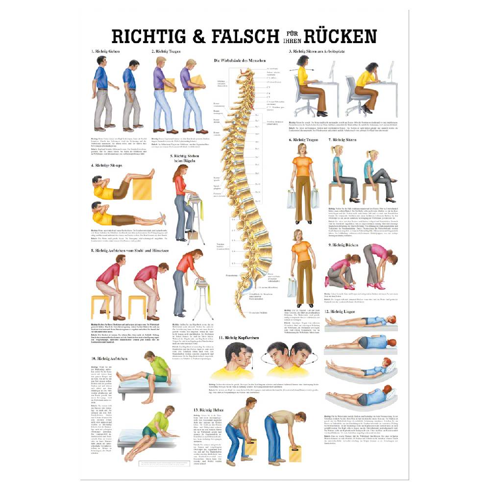 Sport Tec Lehrtafel "Richtig u. falsch für Ihren Rücken", LxB 100x70 cm Letzte 2 Tage