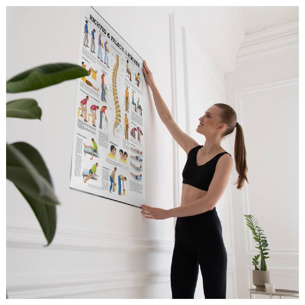 Sport Tec Lehrtafel "Richtig u. falsch für Ihren Rücken", LxB 100x70 cm Letzte 2 Tage