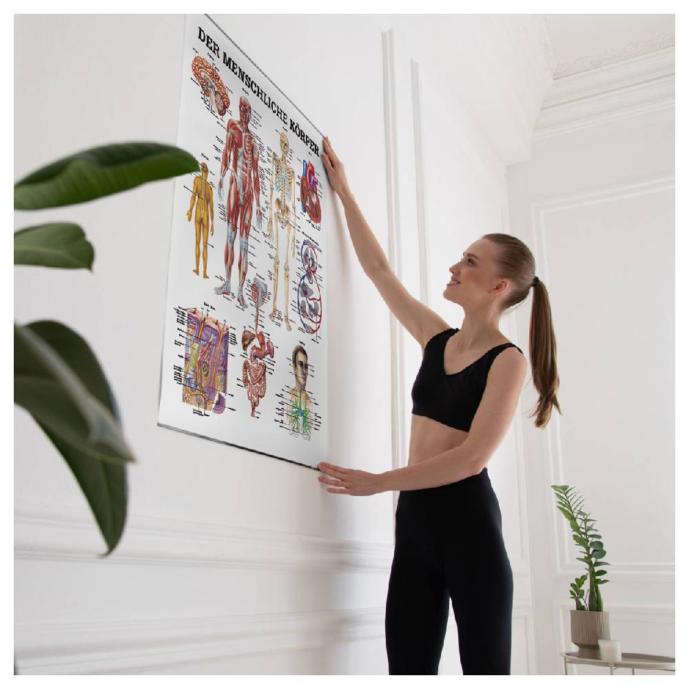 Sport Tec Lehrtafel "Der menschliche Körper", LxB 100x70 cm Bis zu 60% Rabatt