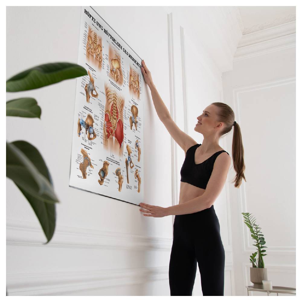 Sport Tec Lehrtafel "Hüfte und Hüftgelenk", LxB 100x70 cm Bis zu 65% Rabatt