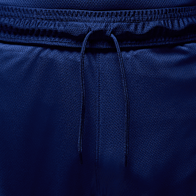 Paris Saint-Germain 2025 Stadium FourthJordan Dri-FIT Replika-Fußballshorts (Herren) Online