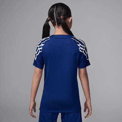 Paris Saint-Germain 2024/25 Stadium FourthJordan Dri-FIT-Replika-Fußballtrikot für ältere Kinder Auslauf