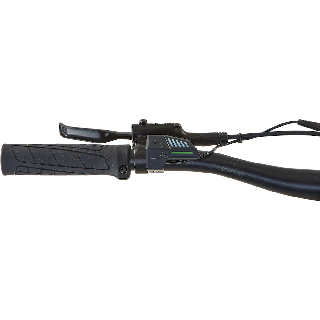 Prophete E-Bike »Dice 1.0« 8 Gang Shimano Altus Heckmotor 250 W Zeitbegrenzte Promotion
