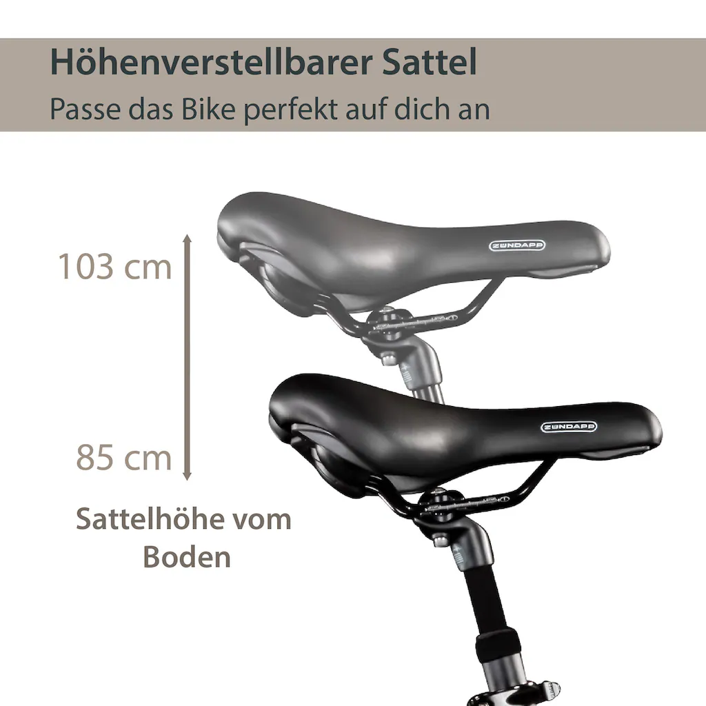 AGON E-Bike »Aurora« 3 Gang Frontmotor 250 W Pedelec Elektrofahrrad für Damen u. Herren Cityrad Bis zu 50% Rabatt