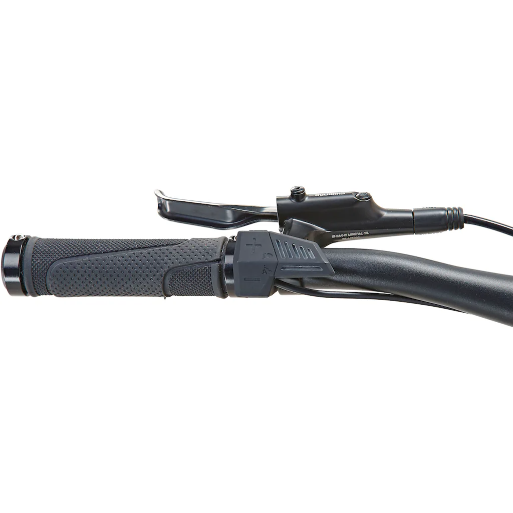 Prophete E-Bike »DICE 1.0« 8 Gang Shimano Altus Heckmotor 250 W Pedelec Elektrofahrrad für Damen u. Herren MTB Mountainbike auf Rechnung online kaufen Im Verkauf