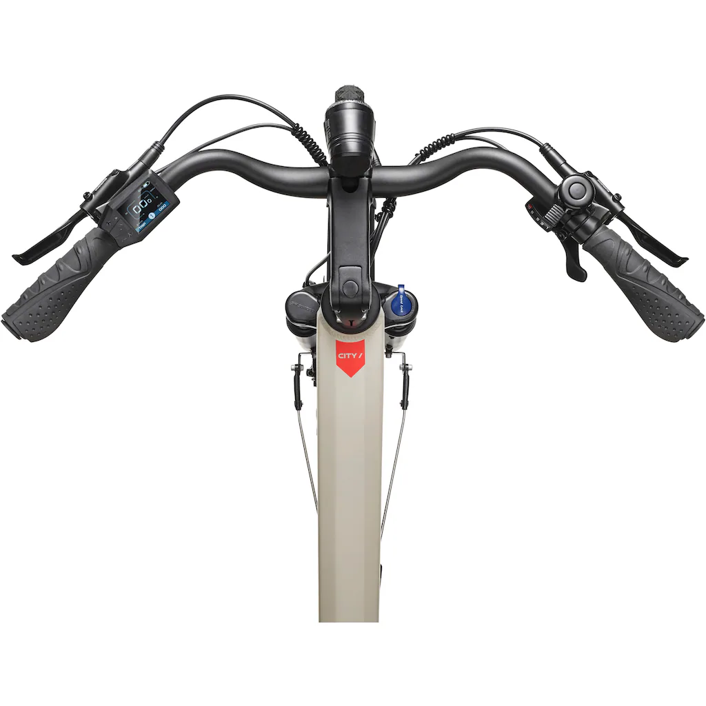Telefunken E-Bike »Multitalent RC680« 10 Gang Shimano Mittelmotor 250 W (28 Zoll Straßenzulassung Scheibenbremsen) Pedelec Elektrofahrrad für Damen u. Herren Cityrad zollfrei