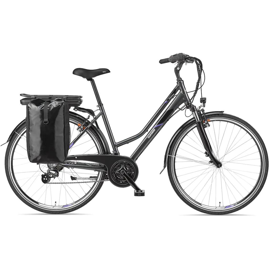 Telefunken E-Bike »Expedition XT480« 21 Gang Shimano Heckmotor 250 W (mit Fahrradtasche) Pedelec Elektrofahrrad für Damen Trekkingrad auf Rechnung
