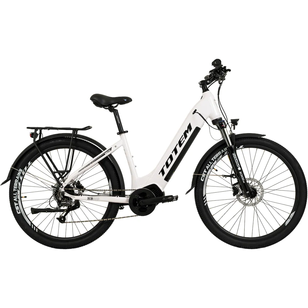 TOTEM E-Bike »DLT-40« 9 Gang Shimano Altus Mittelmotor 250 W Pedelec Elektrofahrrad für Herren auf Raten Großer Ausverkauf
