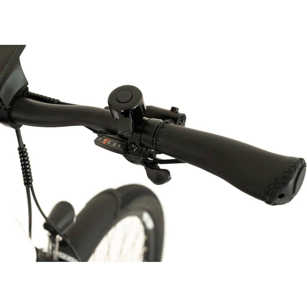 TOTEM E-Bike »DLT-40« 9 Gang Shimano Altus Mittelmotor 250 W Pedelec Elektrofahrrad für Herren auf Raten Großer Ausverkauf