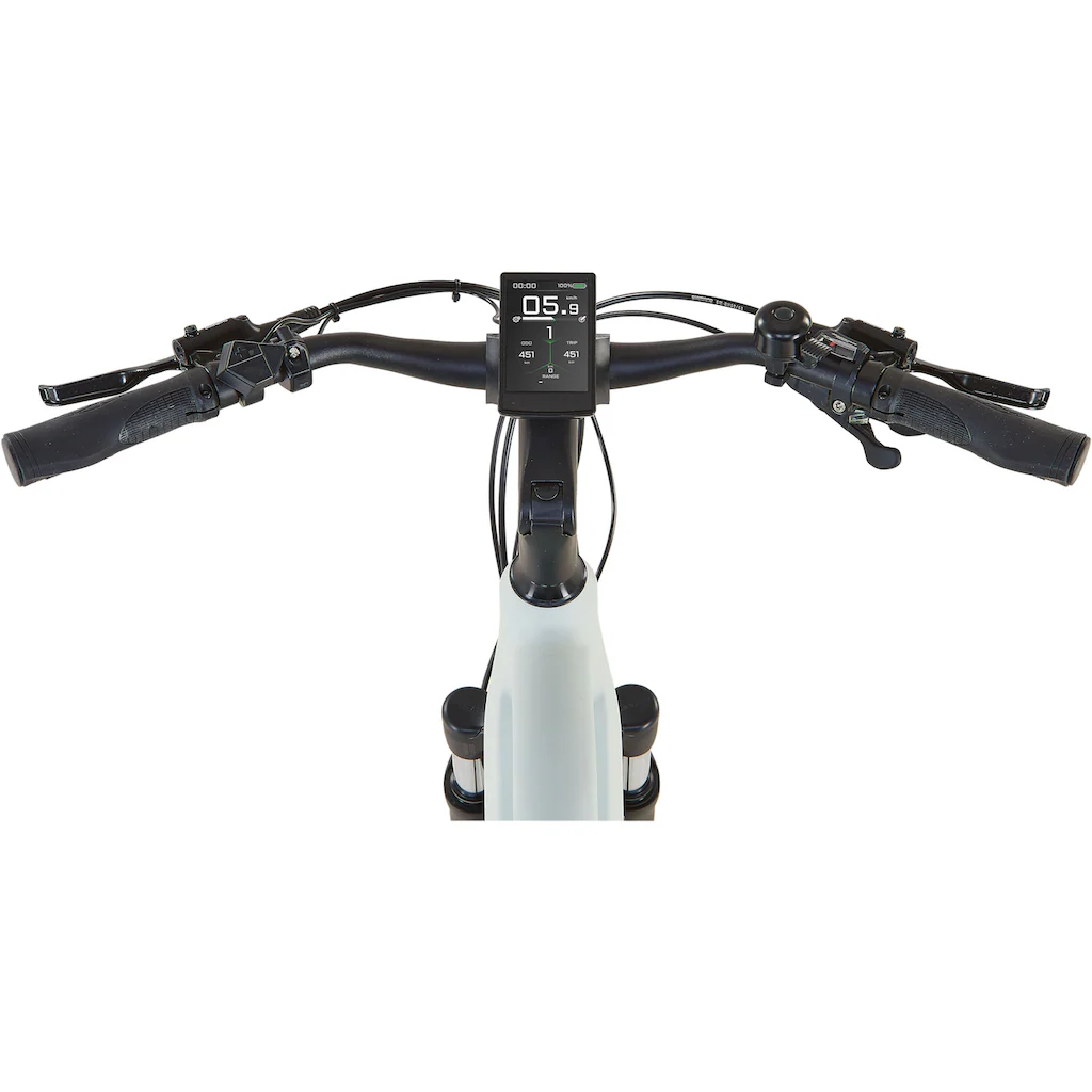 Prophete E-Bike »Entdecker 5.0« 10 Gang Shimano Deore Mittelmotor 250 W Nur für heute